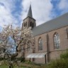 Profielfoto Geloofsgemeenschap Sint Martinus
